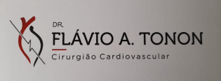 logo-flavio-tonon